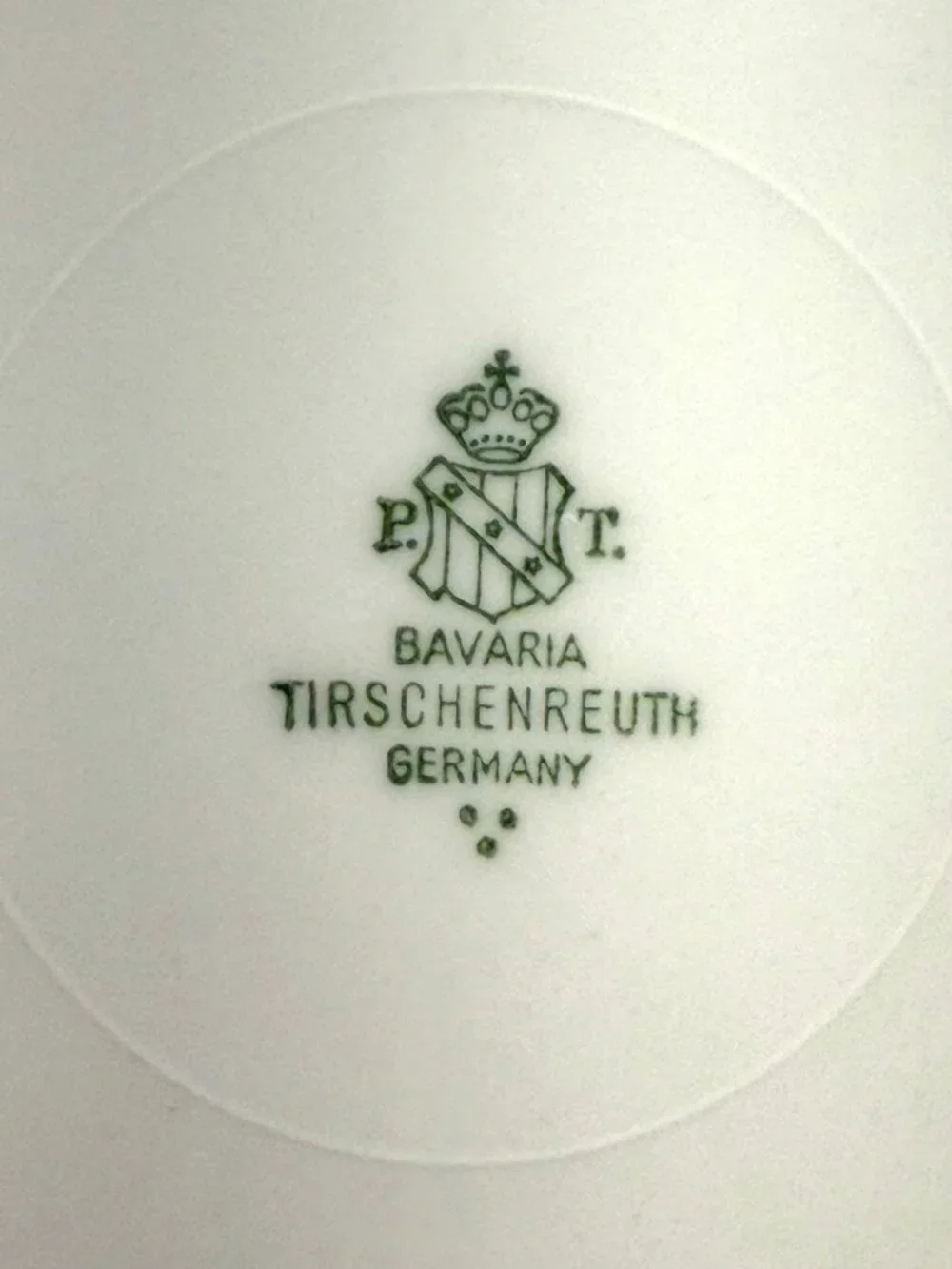 Antique Tirschenreuth Bavaria Hand Painted Apple Plate C Leere 10.75